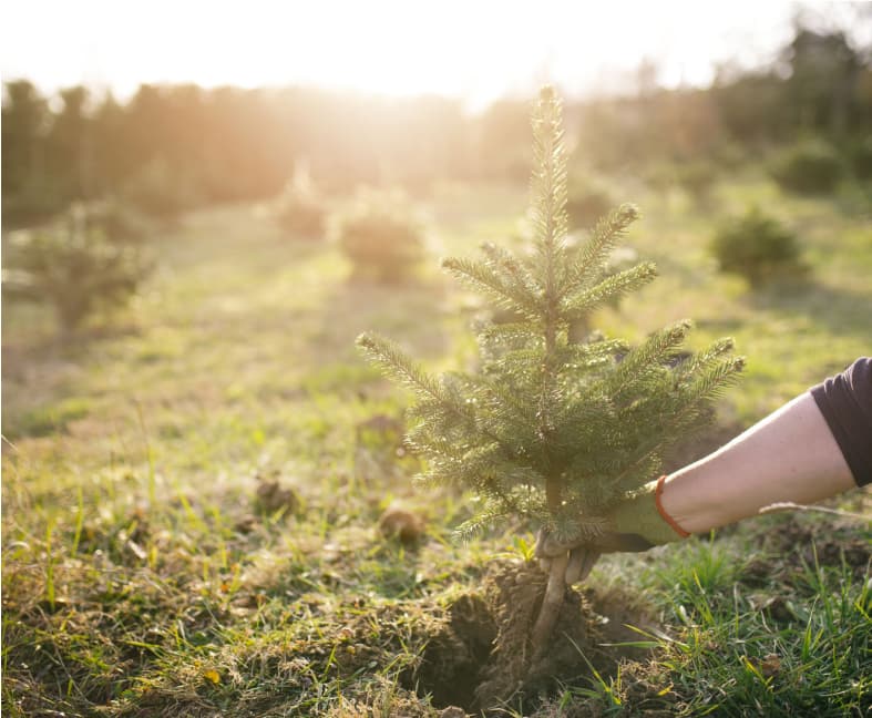 Barekraft hero mobile 01