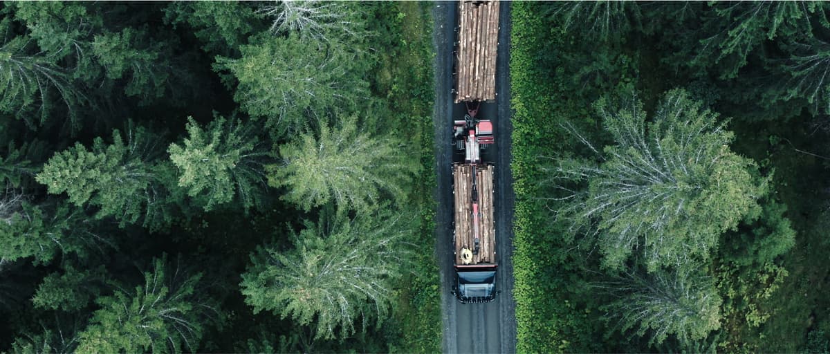 Forpliktelsesløpet 01