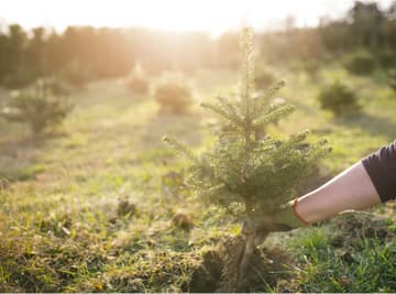 Main nav barekraft 01